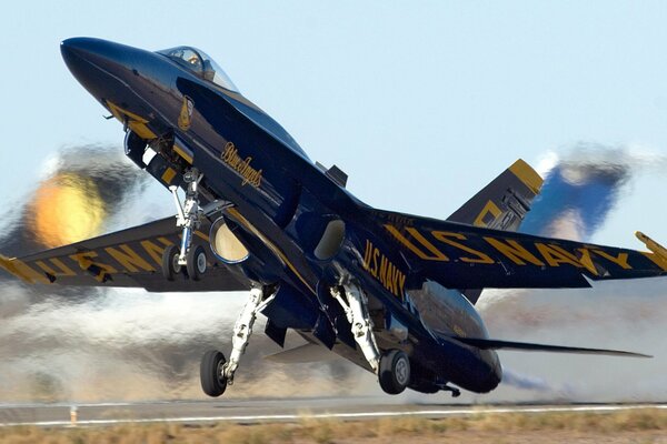 Avión F -18 Blue angels en el ángulo de ataque