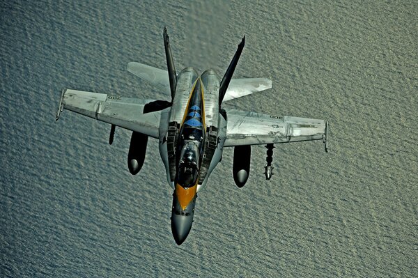 Hornet plane flies over the sea