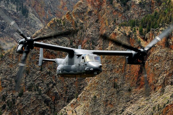 Fotos de Osprey, PIB en acción