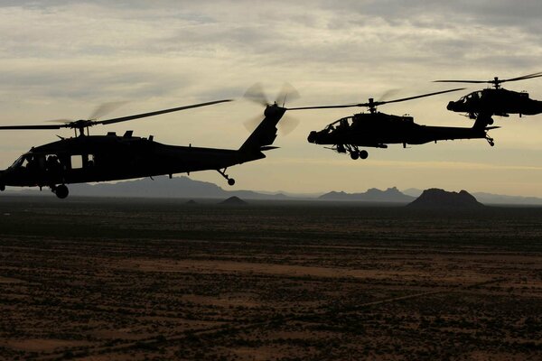 UH-60 black hawk and AH-64 apache helicopters of the US Army