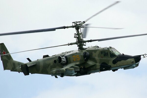 Squalo nero Ka-50 mimetico in volo