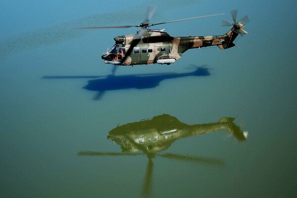 Bilder von der Reflexion der Flugzeugblätter im Wasser