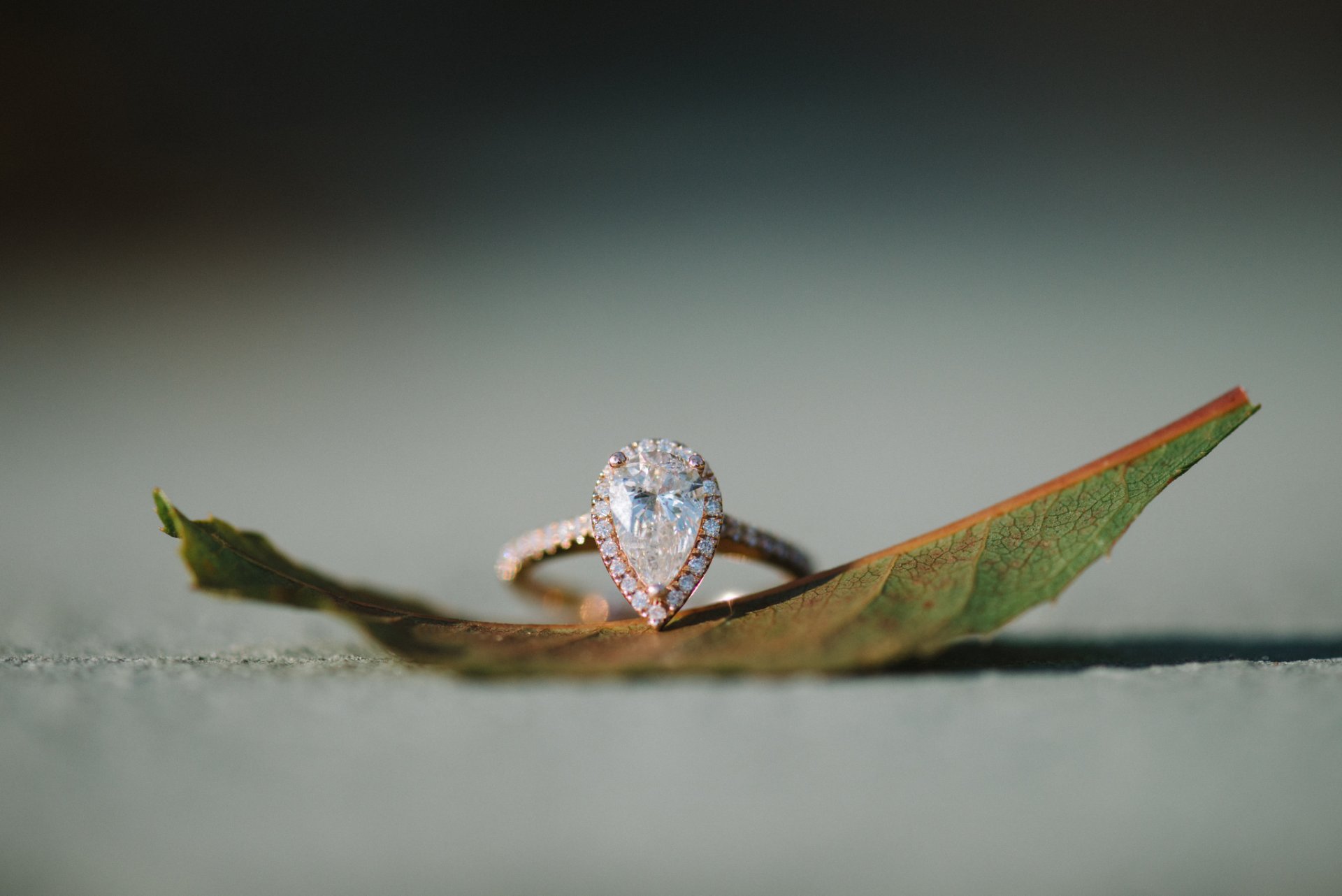 anillo piedra hoja