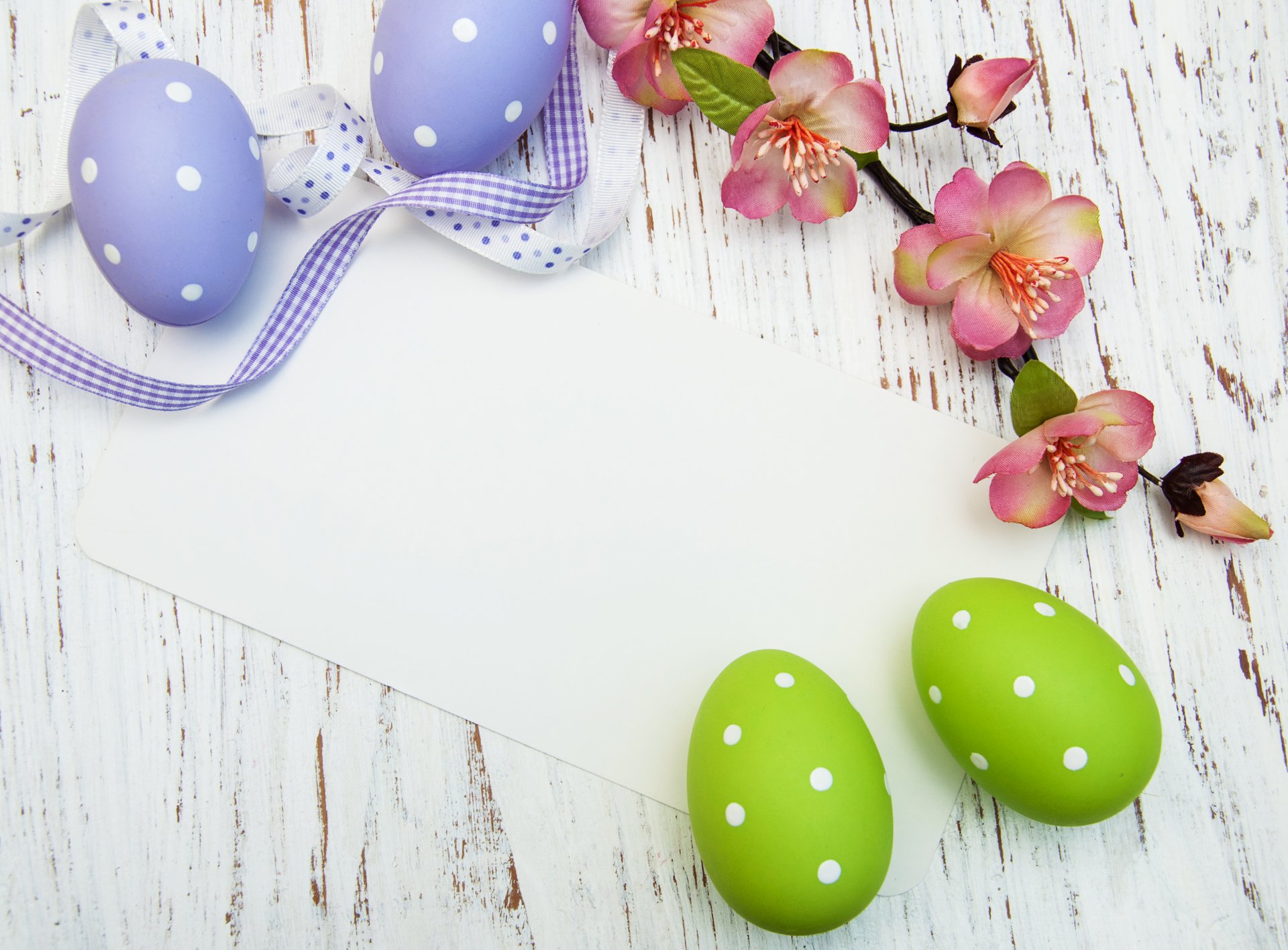 easter eggs cards flowers spring