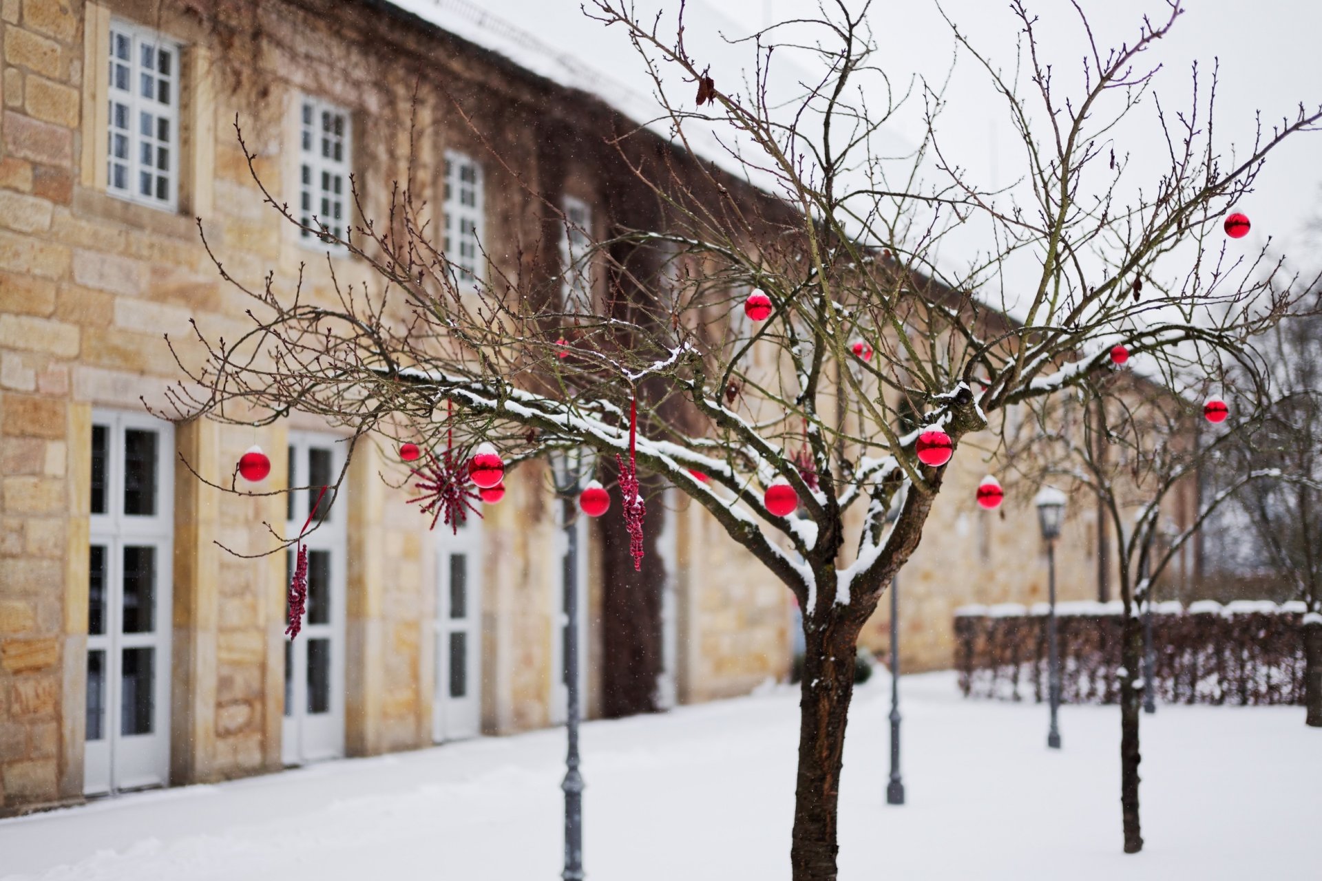 festa albero giocattoli