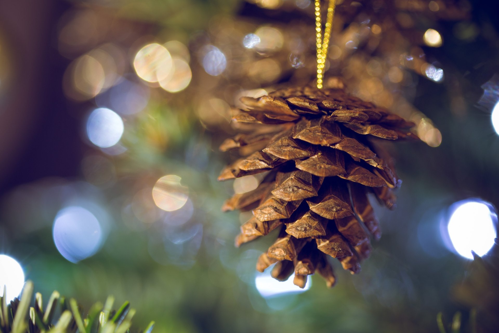 joyeux noël nouvel an 2016 pomme de pin sapin lumières bokeh