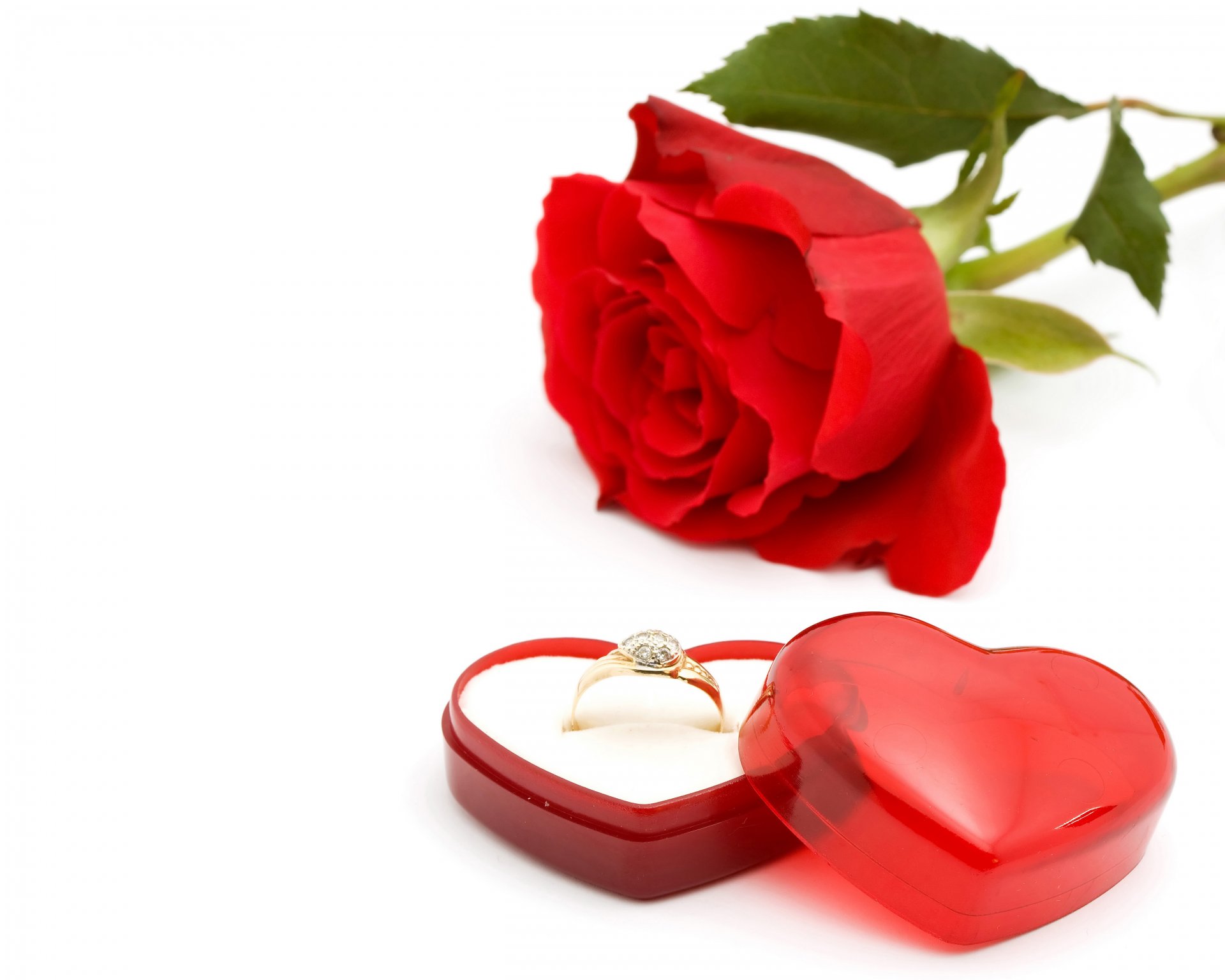 wedding flowers romantic rose red romance engagement ring box