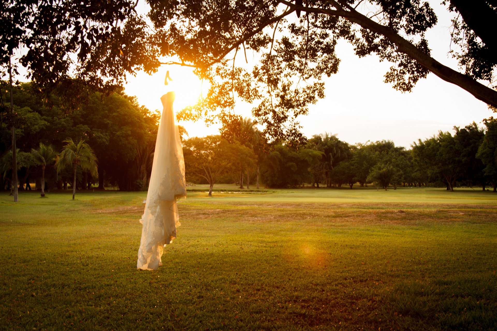 kleid sonnenuntergang baum hochzeit