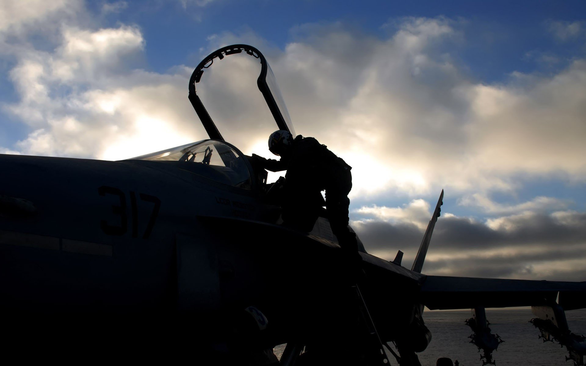 avión de combate cabina piloto siluetas