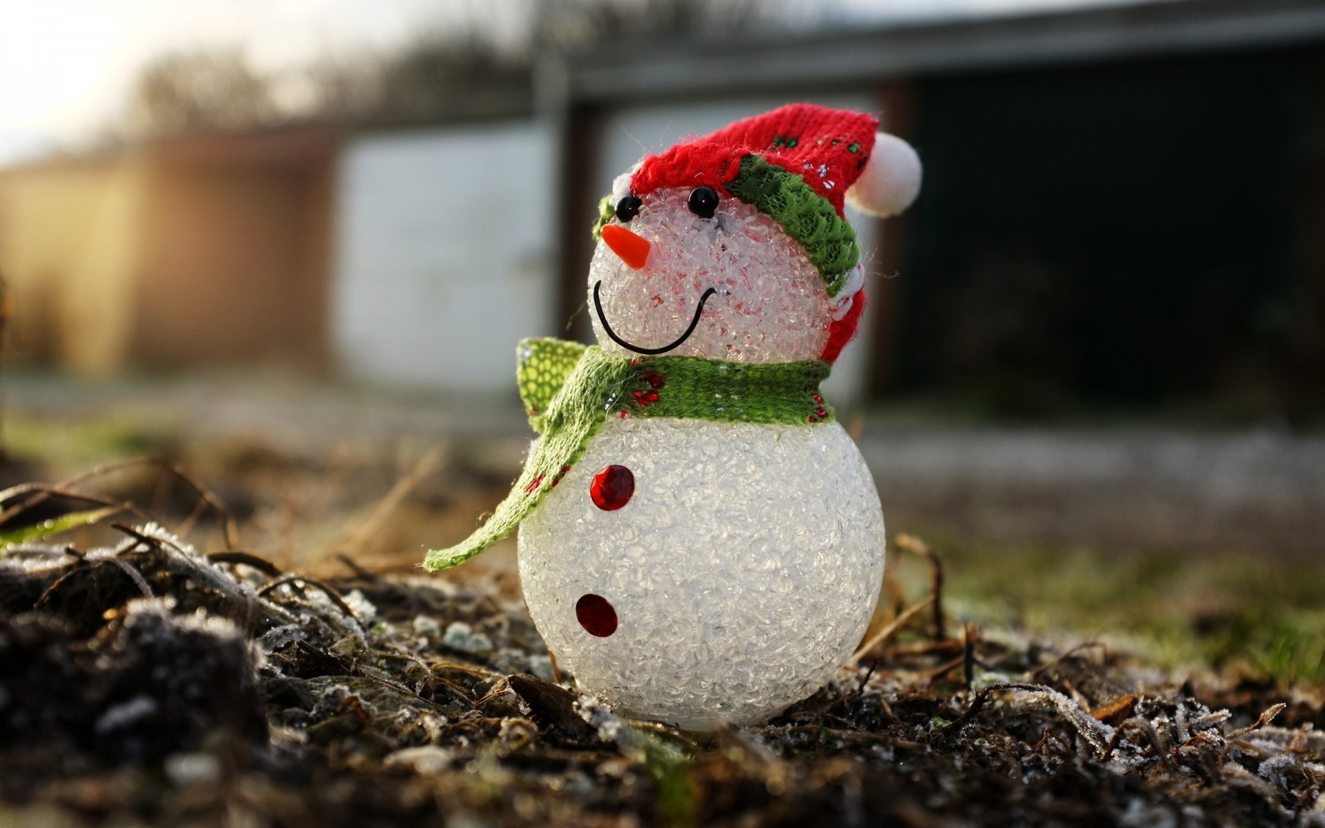 schneemann makro urlaub