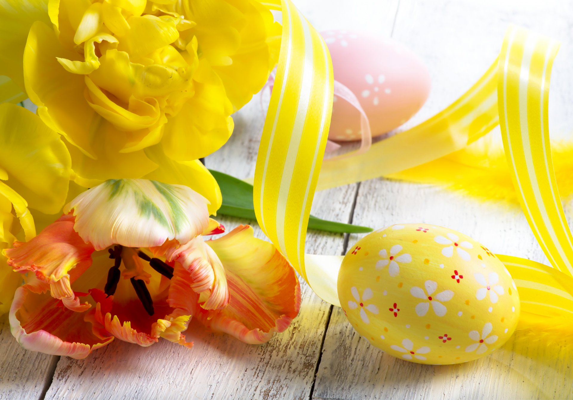 feiertage ostern tulpen eier gelb blumen foto