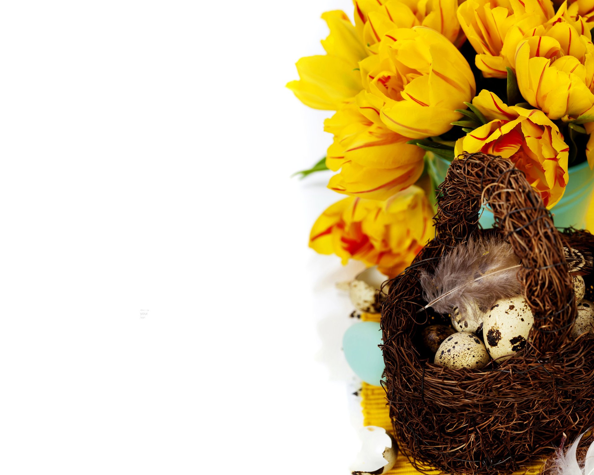 holiday eggs basket miscellaneous flower photo