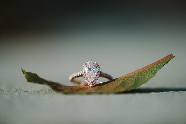 Wedding ring with a stone on a leaf