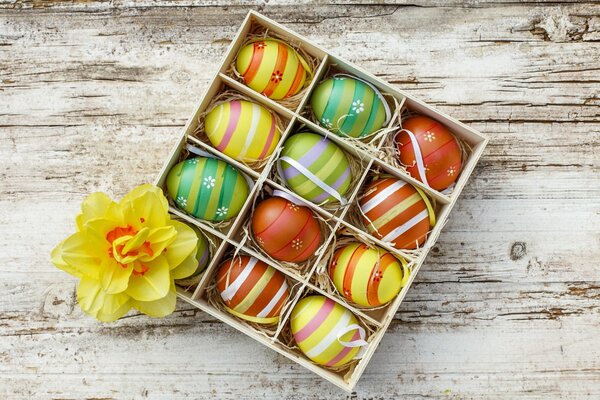 Huevos de Pascua de colores en Caja de narciso