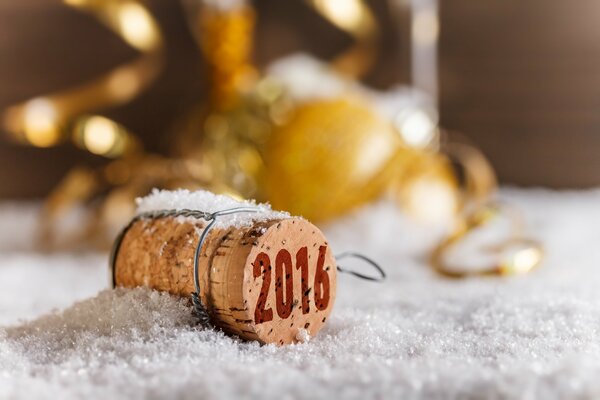 Liège avec le numéro 2016 sur la neige