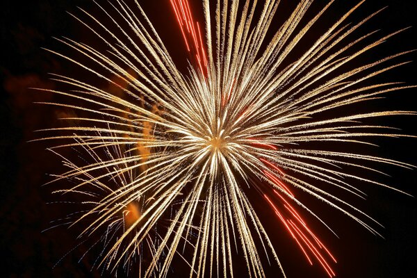 Festive fireworks in the dark sky