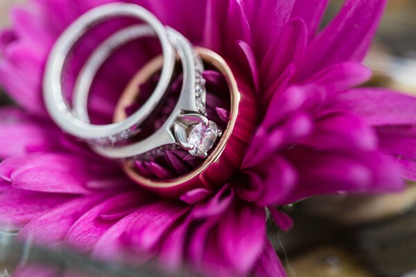 Which rings are suitable for an engagement