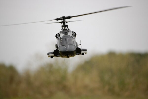 Landungshubschrauber fliegt über den Wald