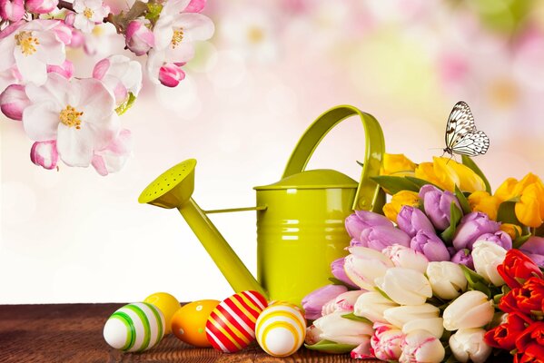 Green watering can, Easter eggs and colorful tulips on the background of a blooming apple tree