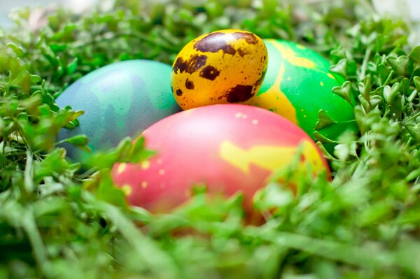 Painted eggs on green grass