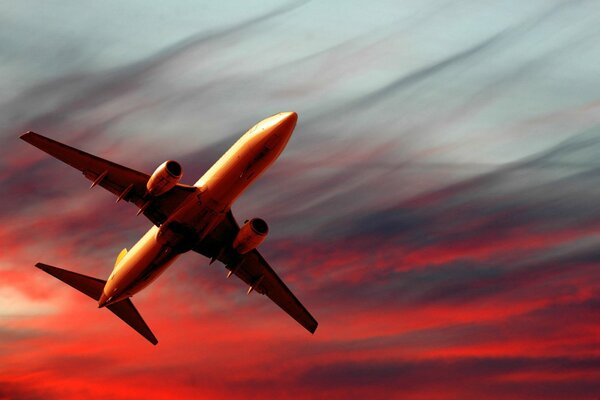 Airplane flight against the background of a bard sunset