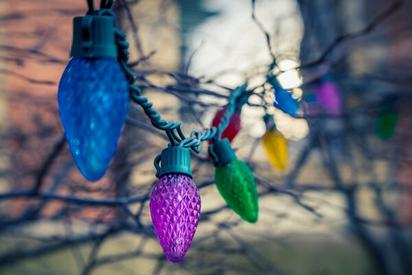 Guirlande avec des ampoules multicolores suspendus