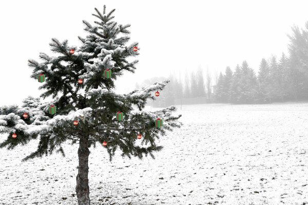 Rotes Spielzeug am grünen Weihnachtsbaum