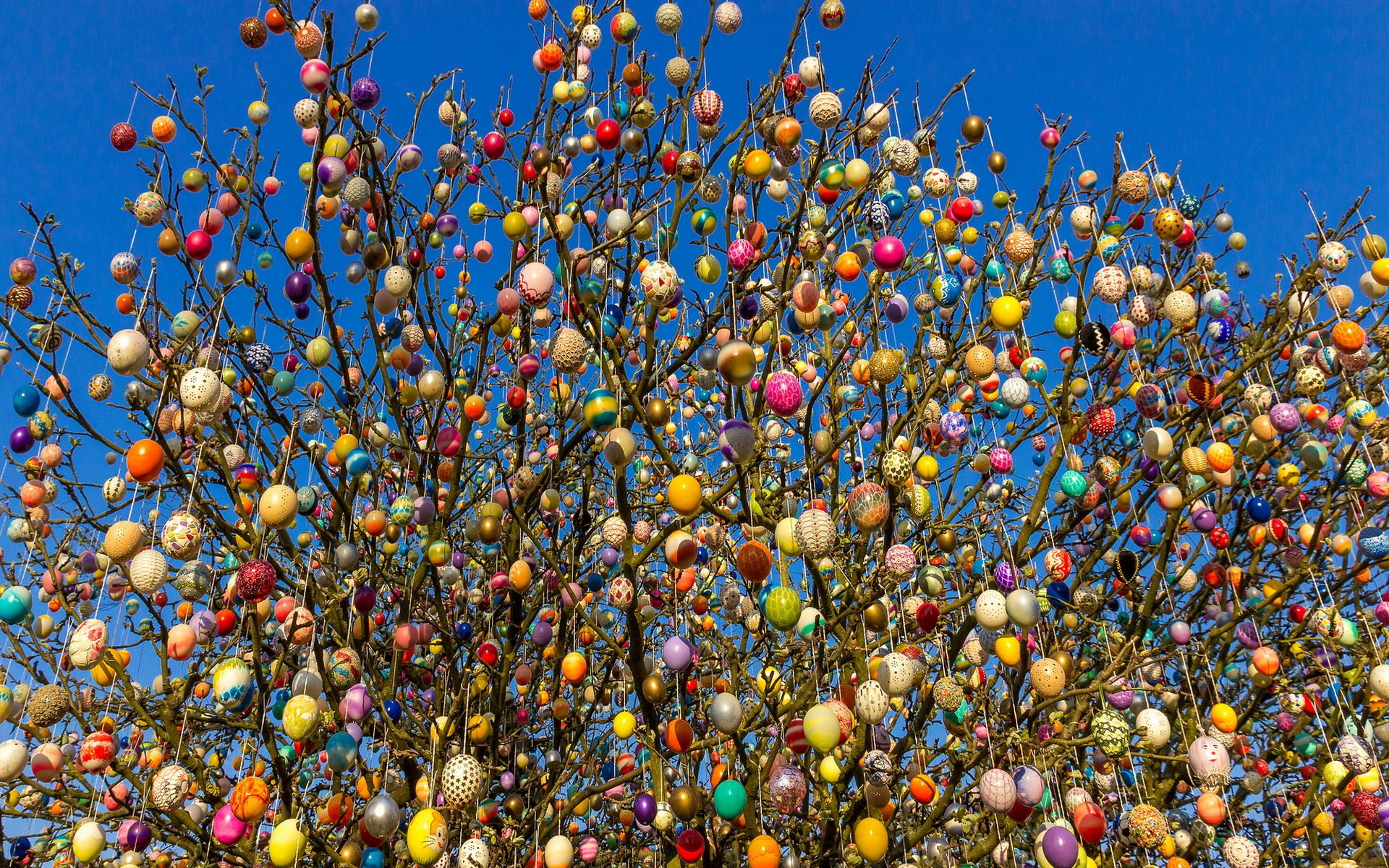 uovo albero vacanza