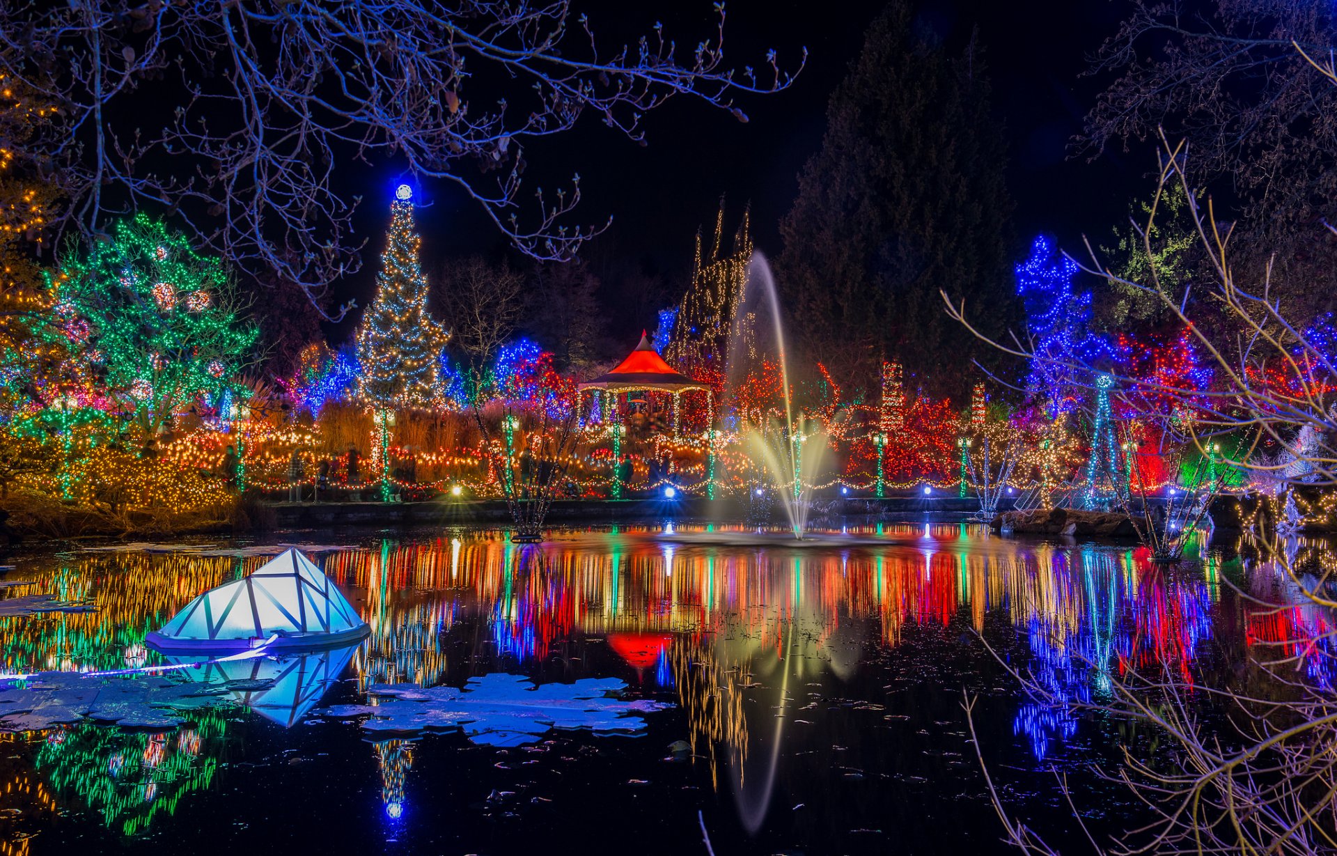 park night lights garland pond reflection christmas new year