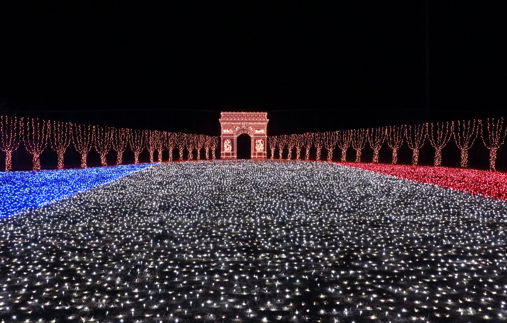 nacht lichter arc de triomphe bäume girlanden