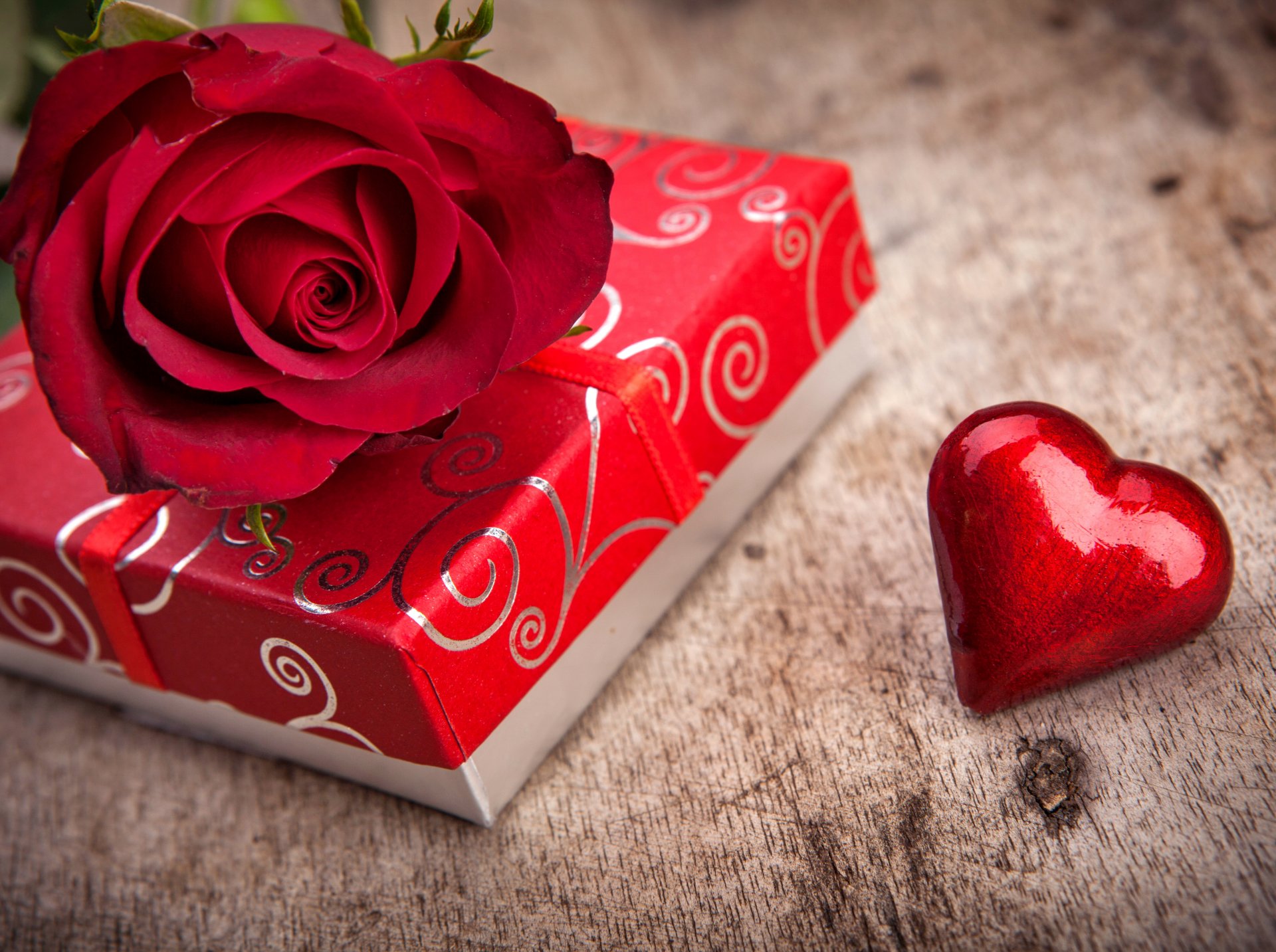 amor romántico rosa regalo flores rosa caja