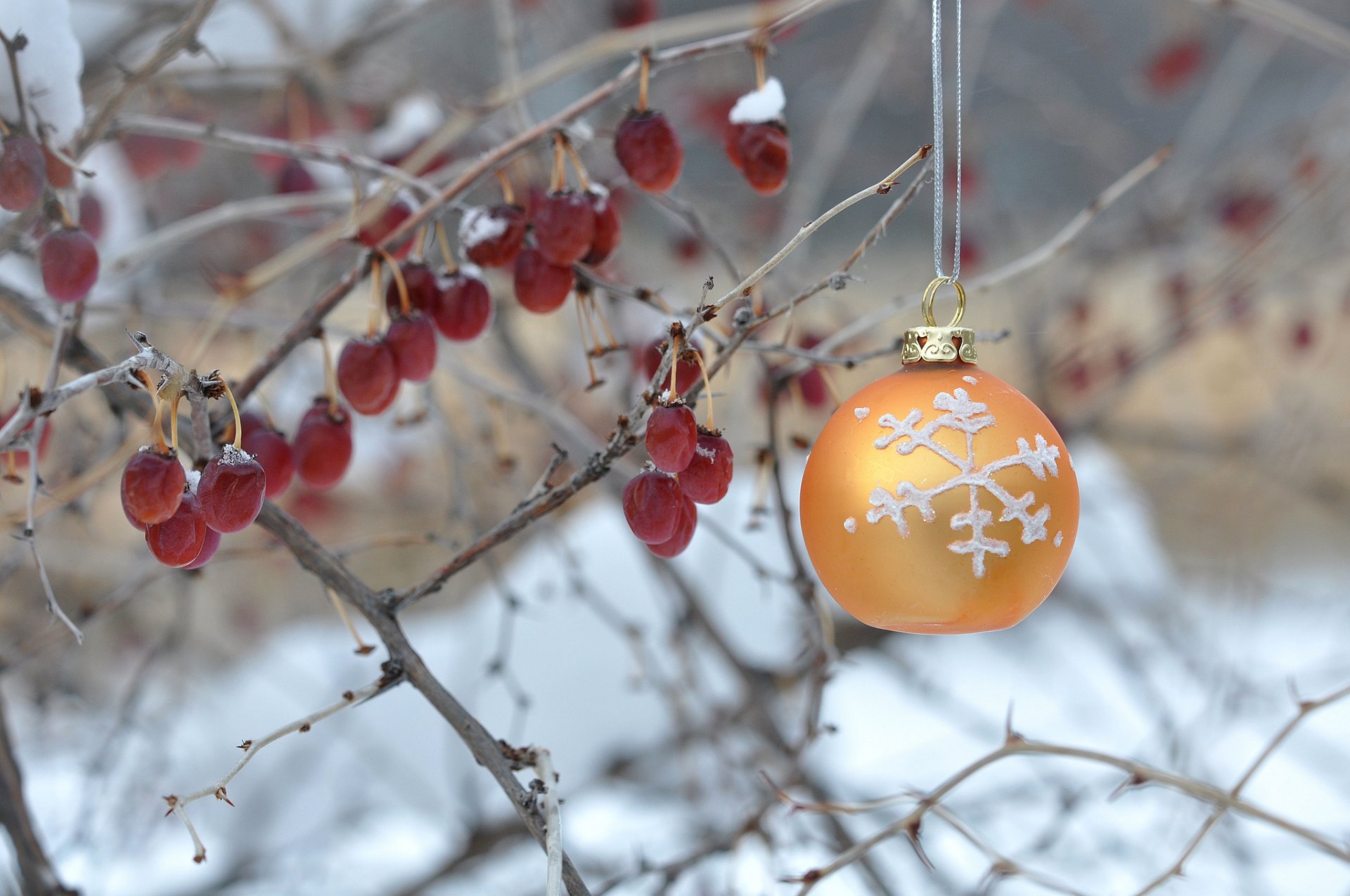 bush berries winter ball decoration new year christma