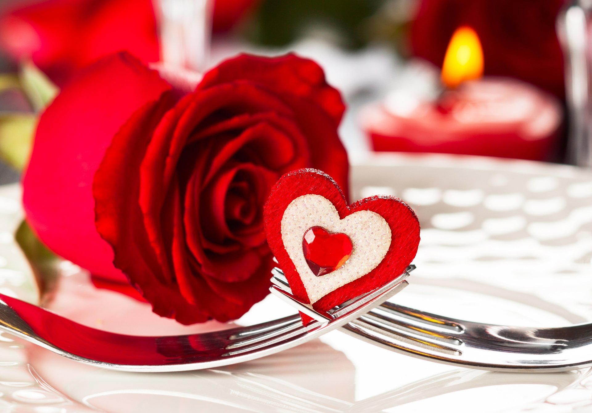 día de san valentín romántico rosa rojo corazón romance