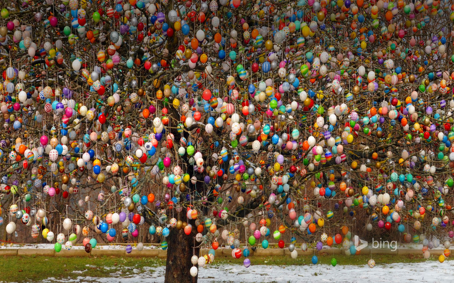 saalfeld allemagne pâques arbre oeufs