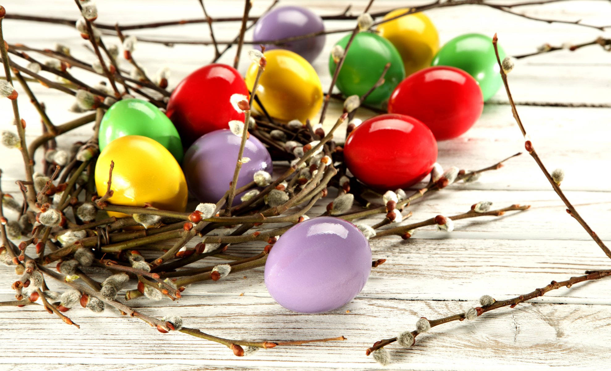 holiday easter eggs branches photo