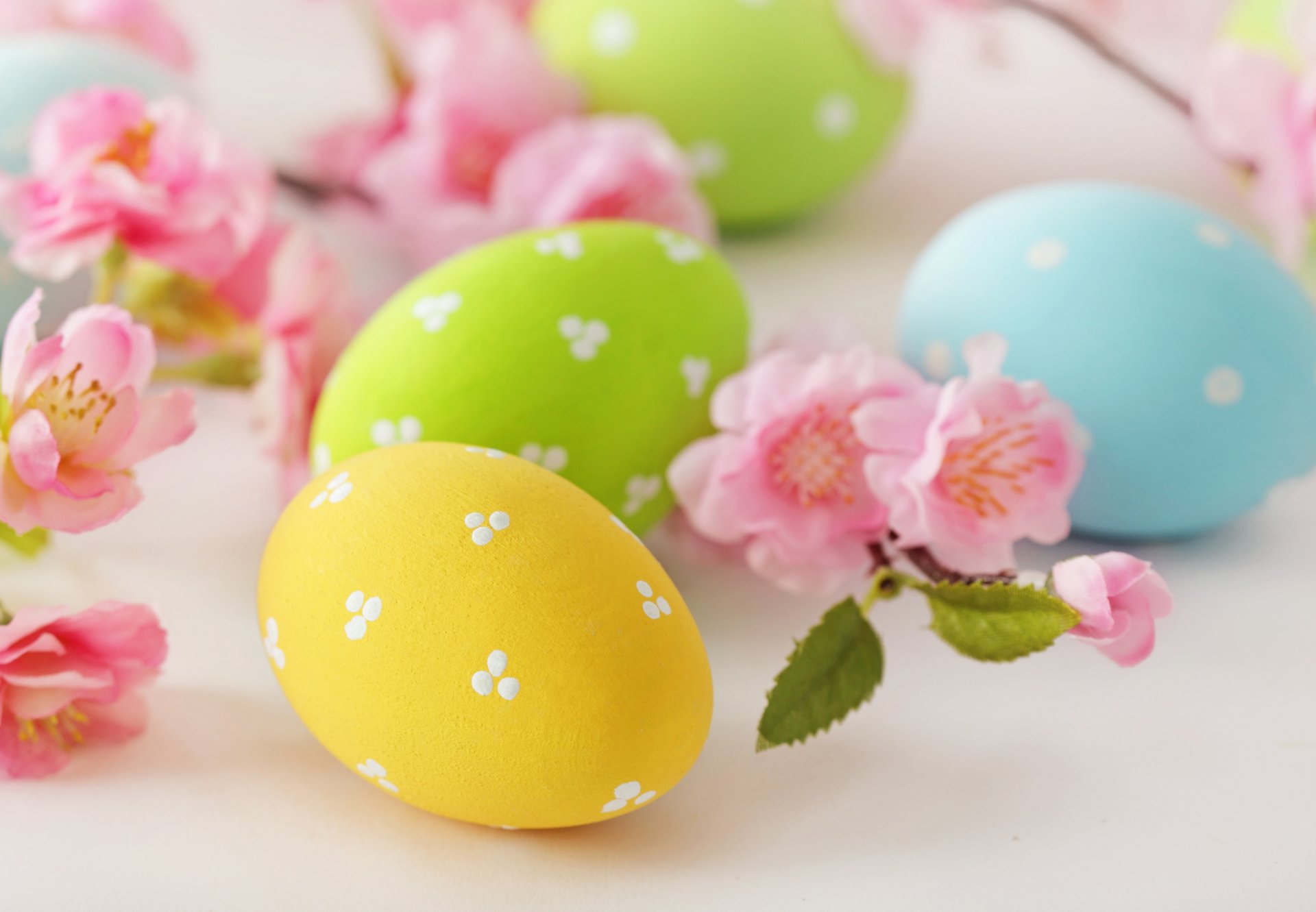 ostern eier blumen dünn pastell