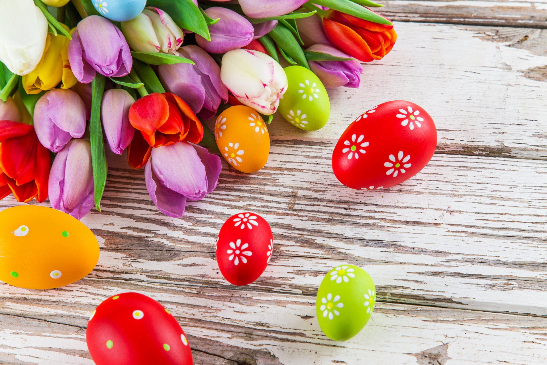 tulpen urlaub ostern eier blumen foto