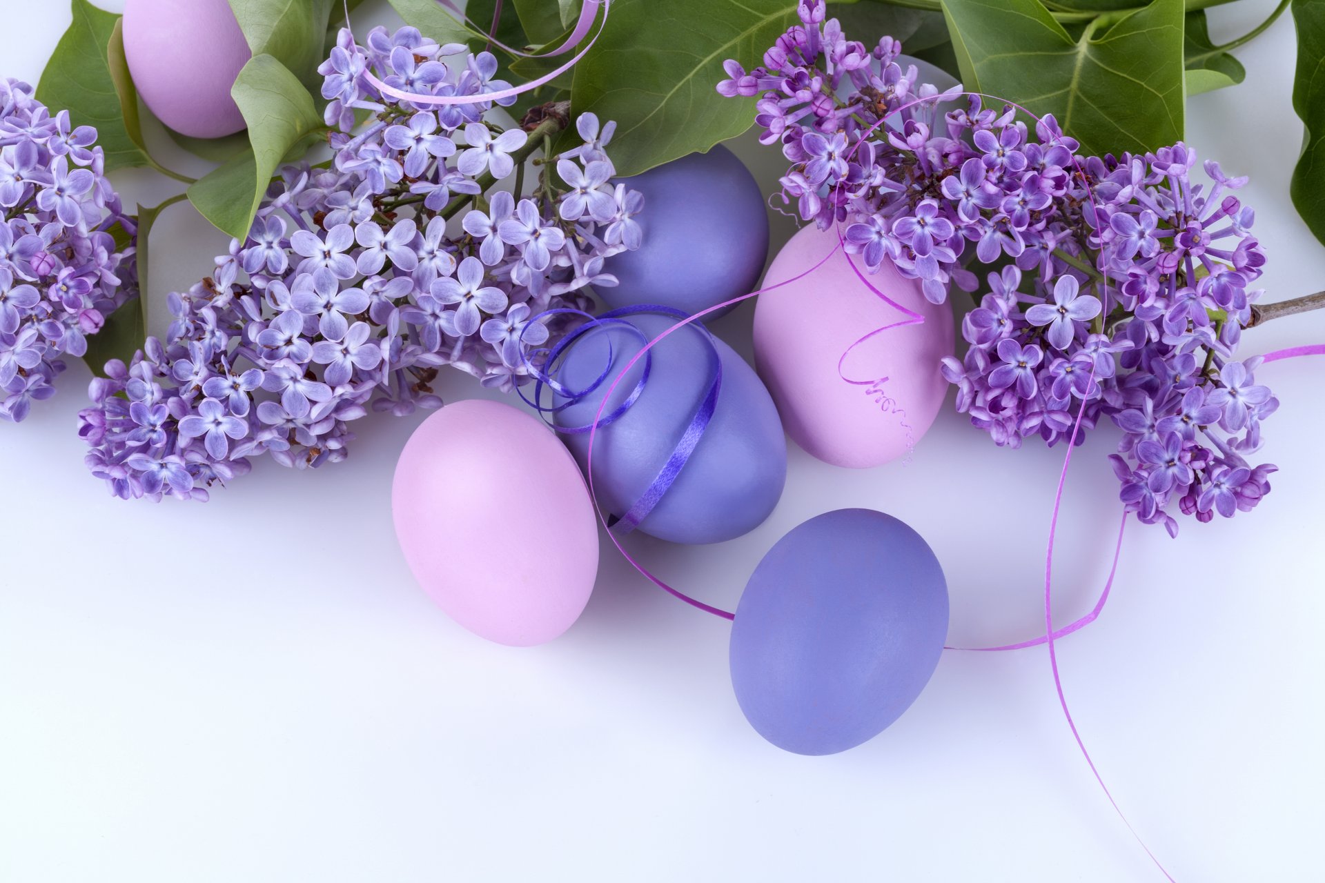 easter eggs krashenki lilac