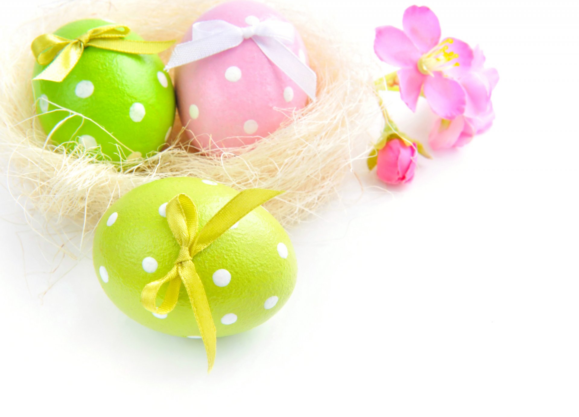 holiday easter eggs bow three photo