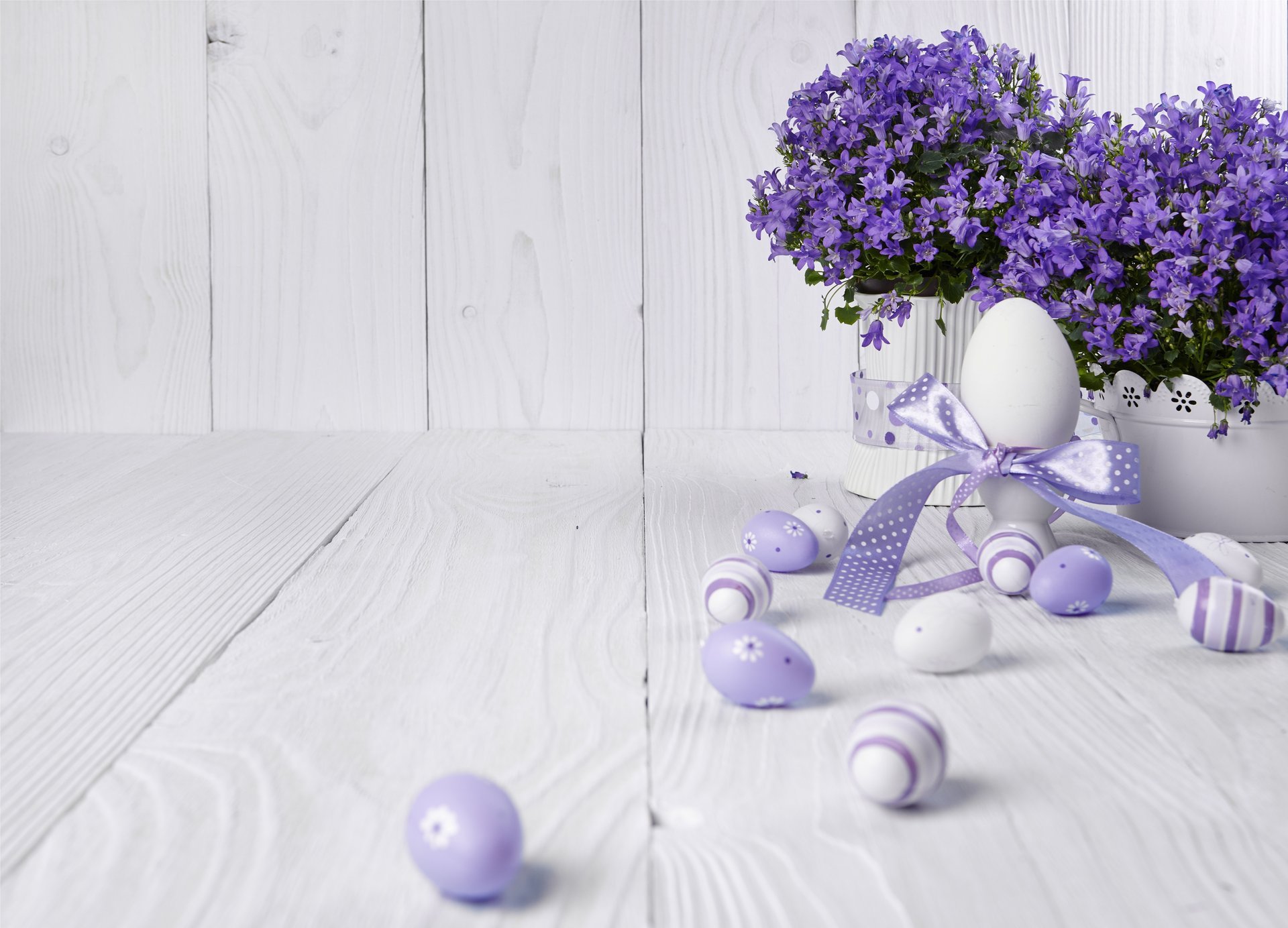 easter eggs spring flowers lavender