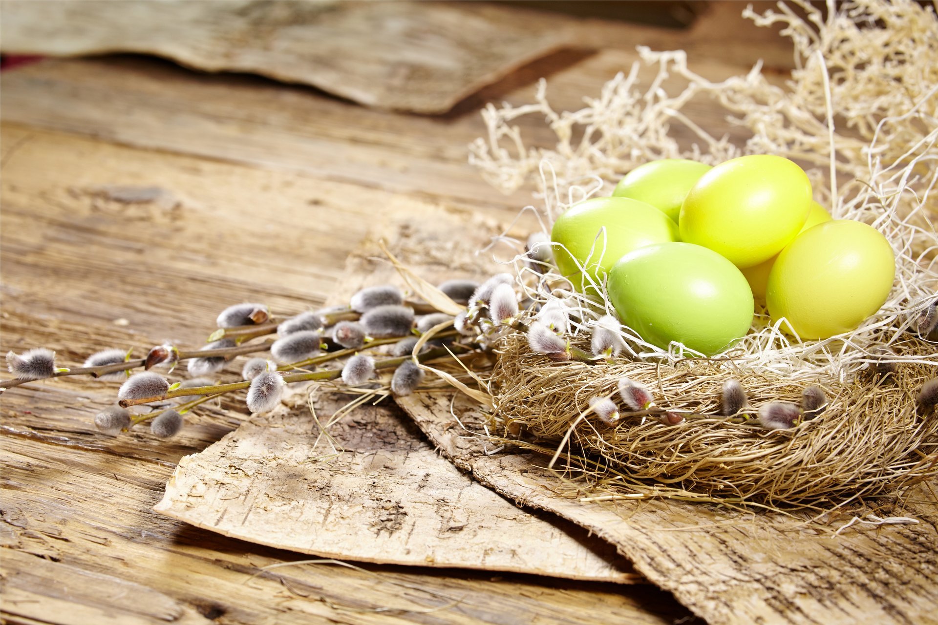 ostern eier frühling blumen nest weide