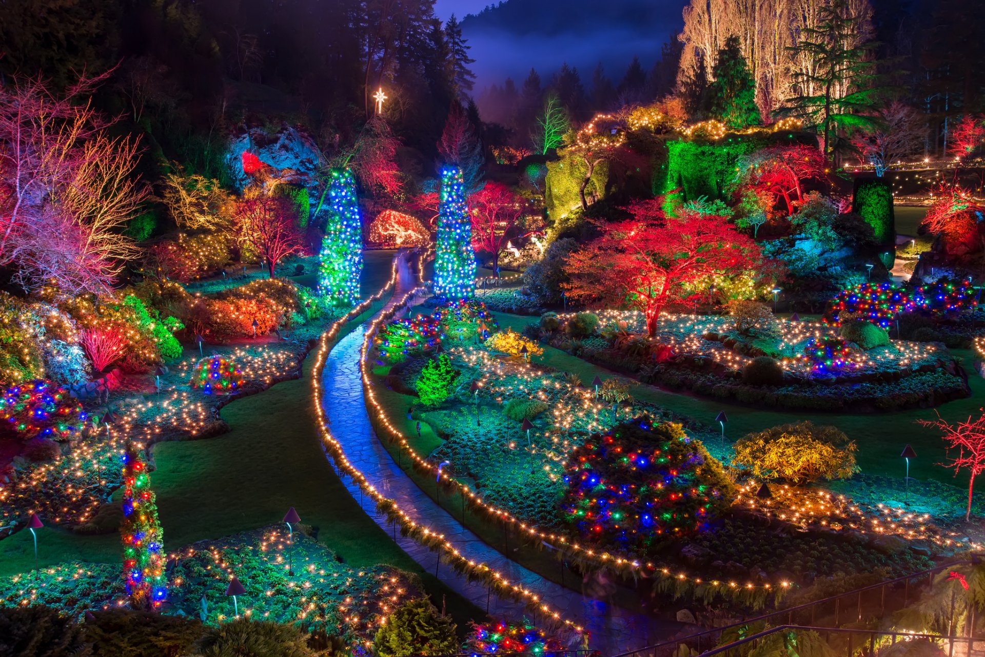 park garten bäume lichter girlanden