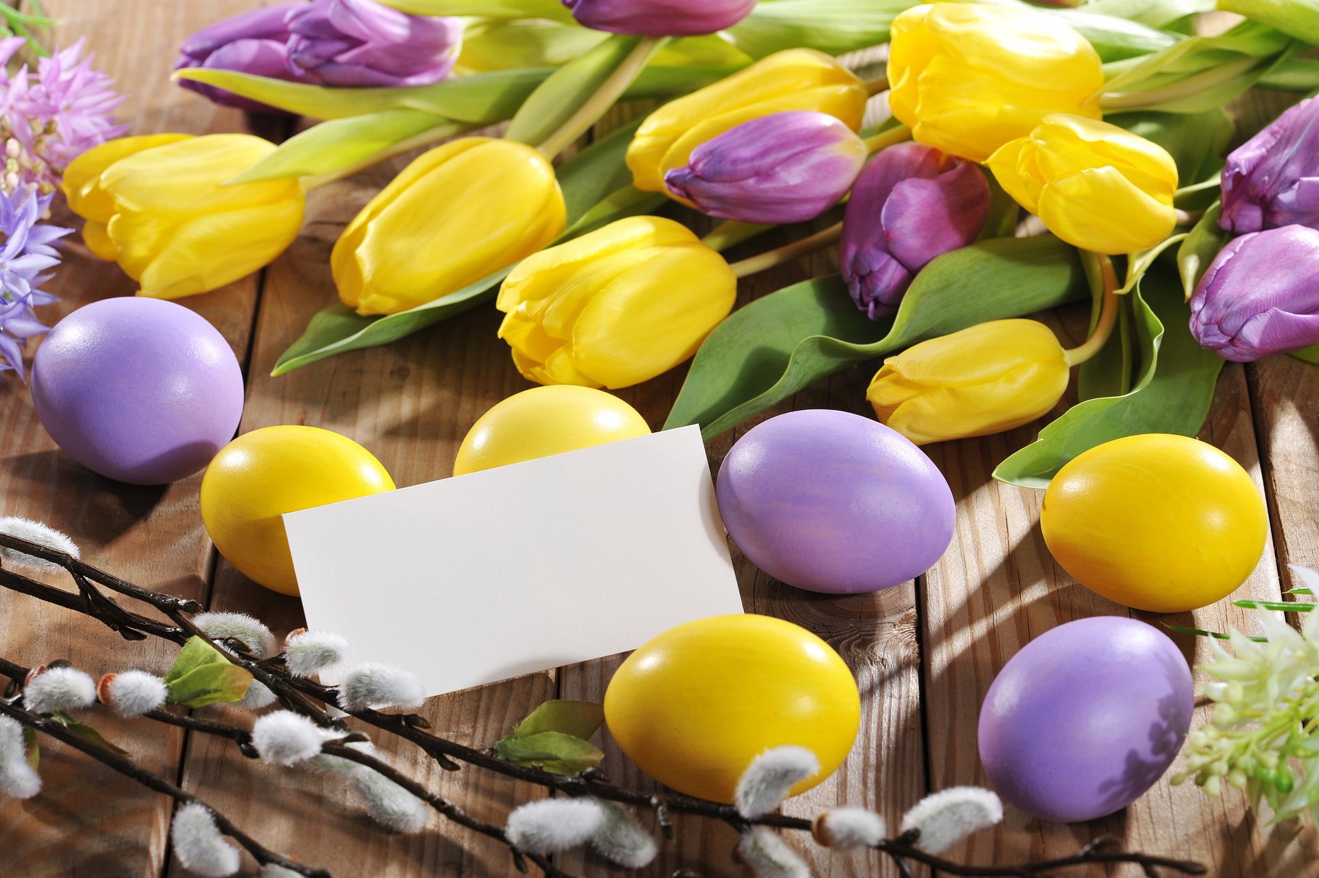 urlaub ostern tulpen eier blumen foto