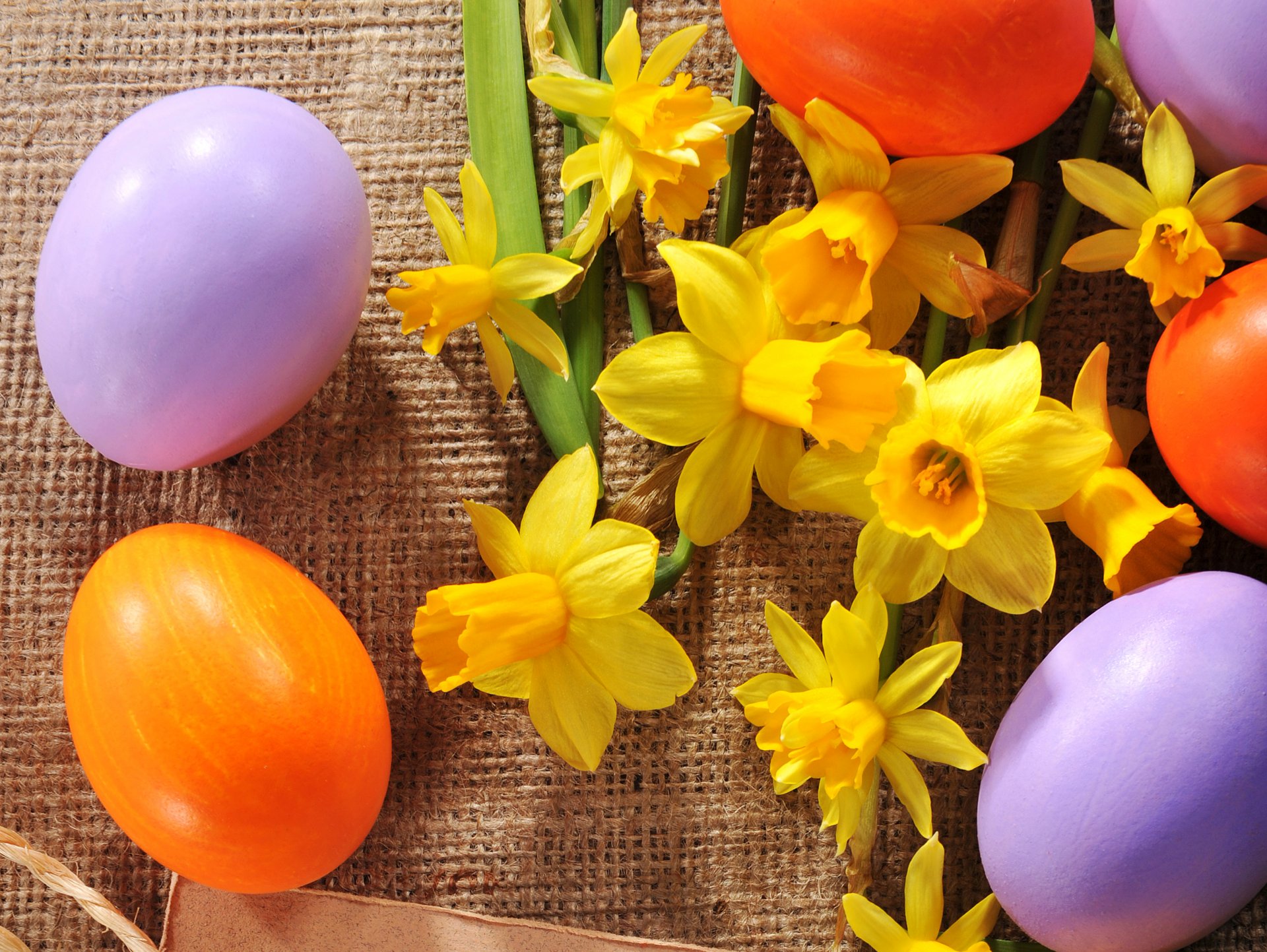 feiertag ostern narzissen eier sonstiges blumen foto