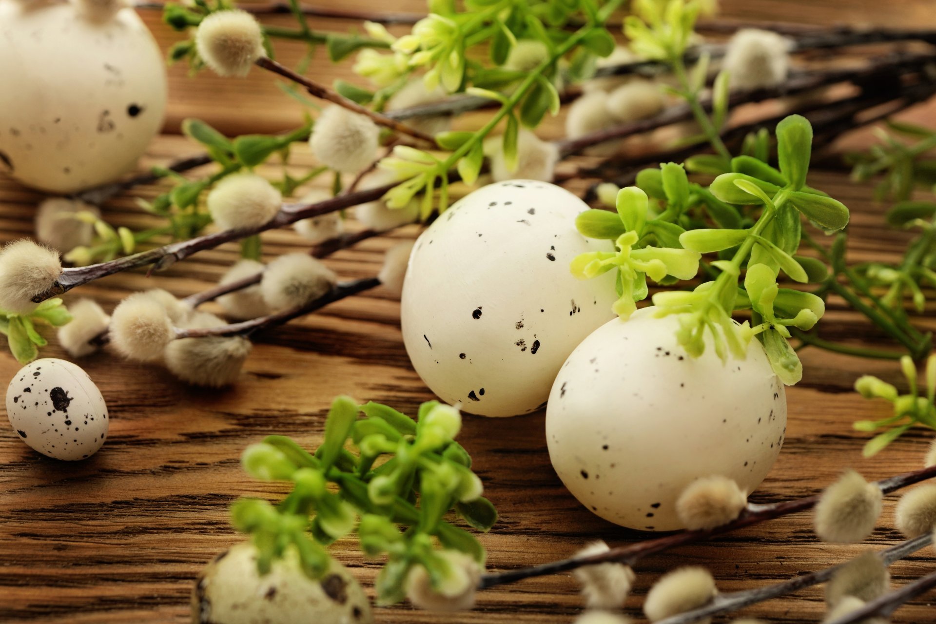 pasqua uova primavera fiori salice