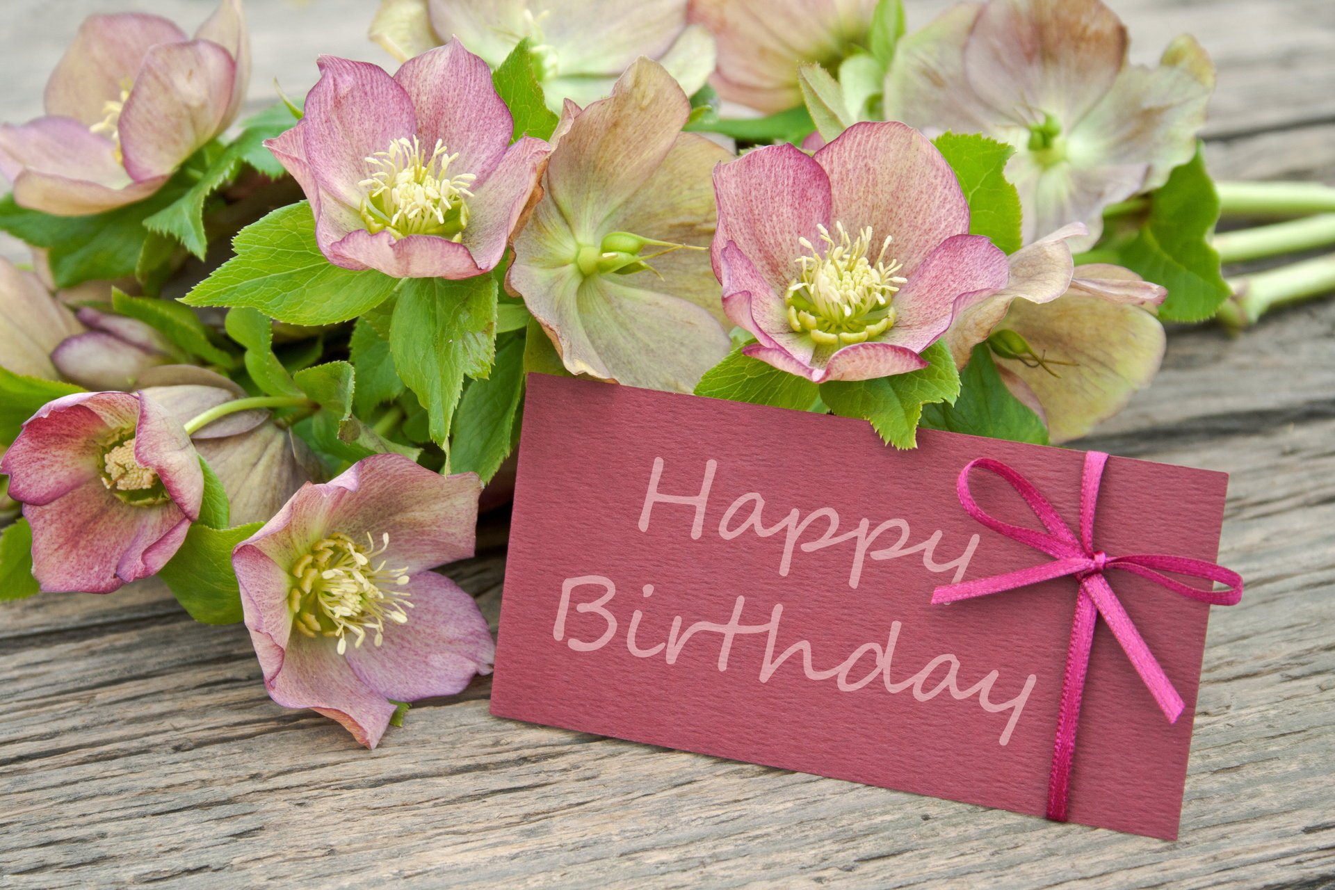 alles gute zum geburtstag blumen postkarte
