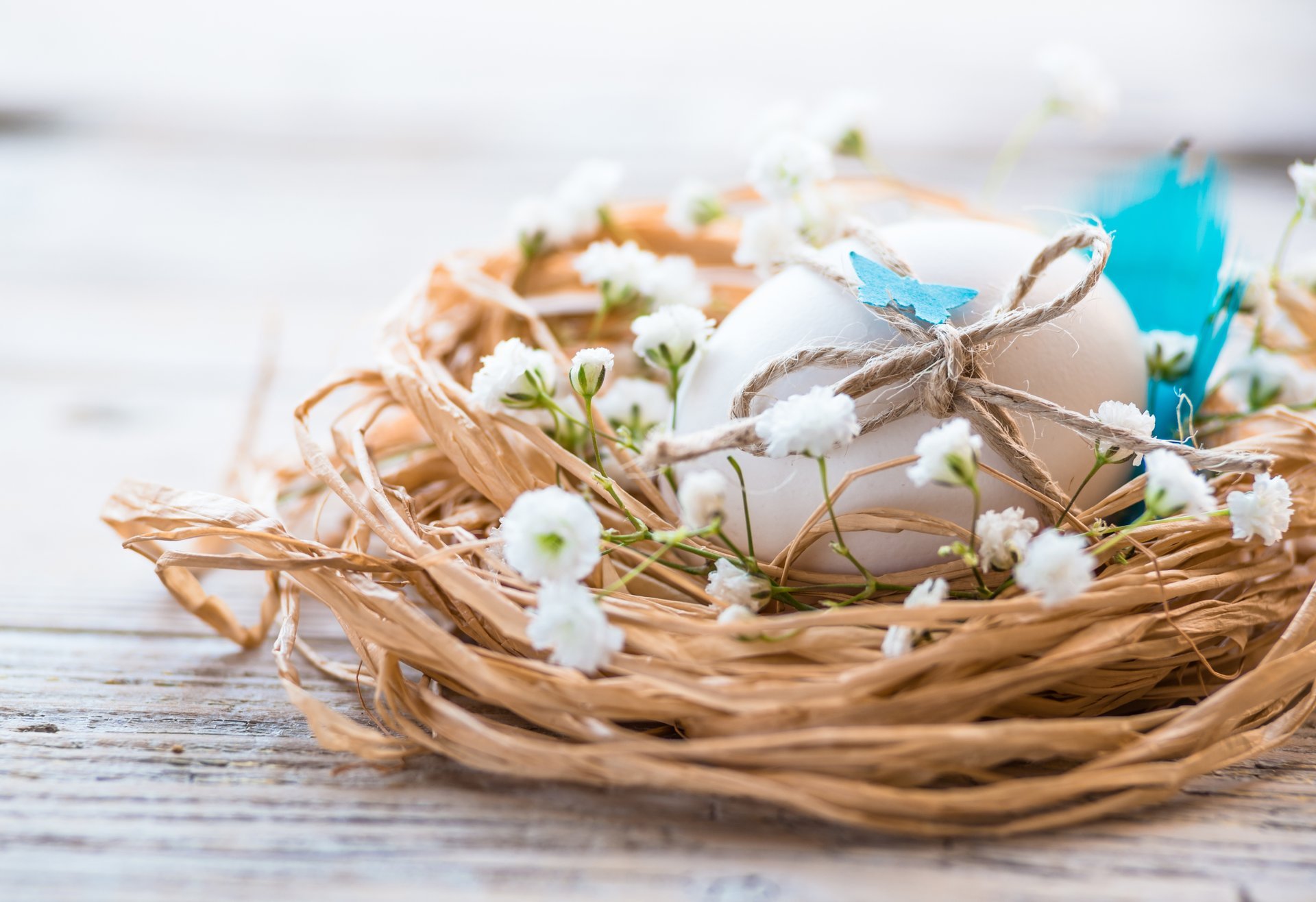 pascua huevos primavera flores nido