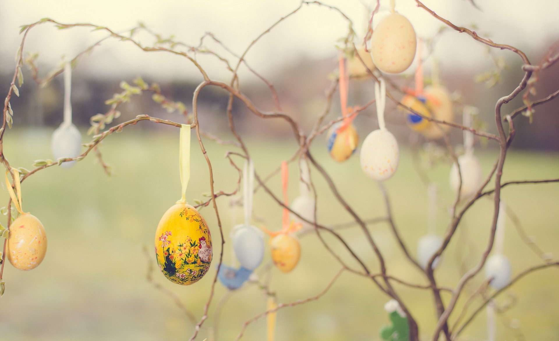 eggs branches holiday