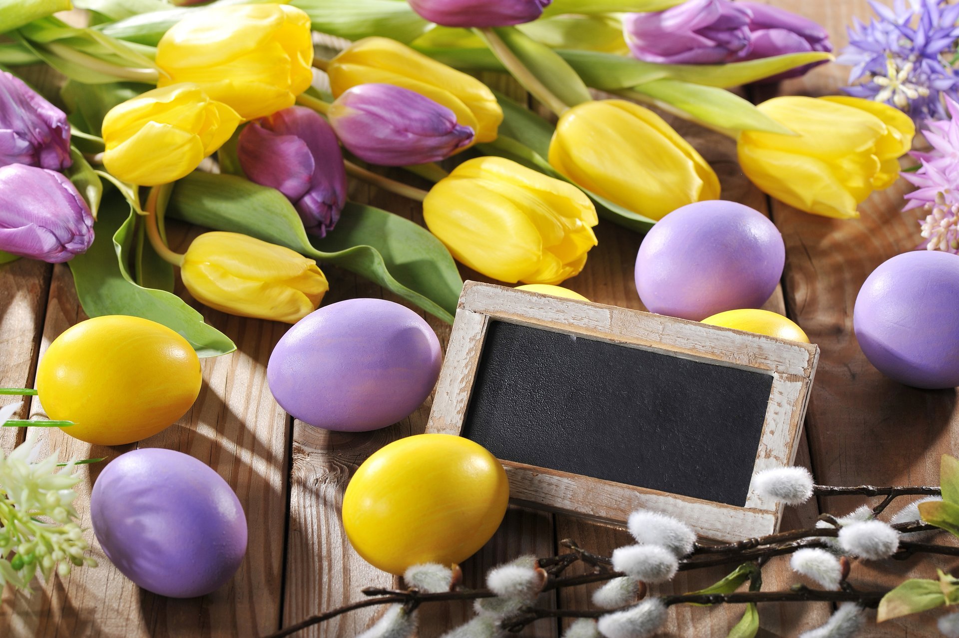 easter eggs flowers spring tulip