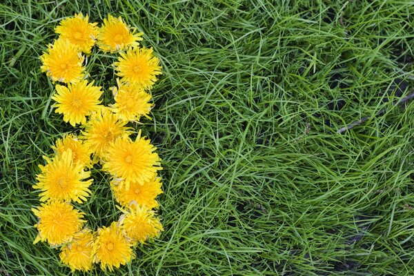 Sur l herbe verte, le chiffre huit des pissenlits jaunes est magnifiquement aménagé. Félicitations originales pour le 8 mars